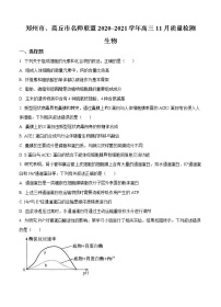 河南省郑州市、商丘市名师联盟2021届高三11月教学质量检测 生物(含答案)