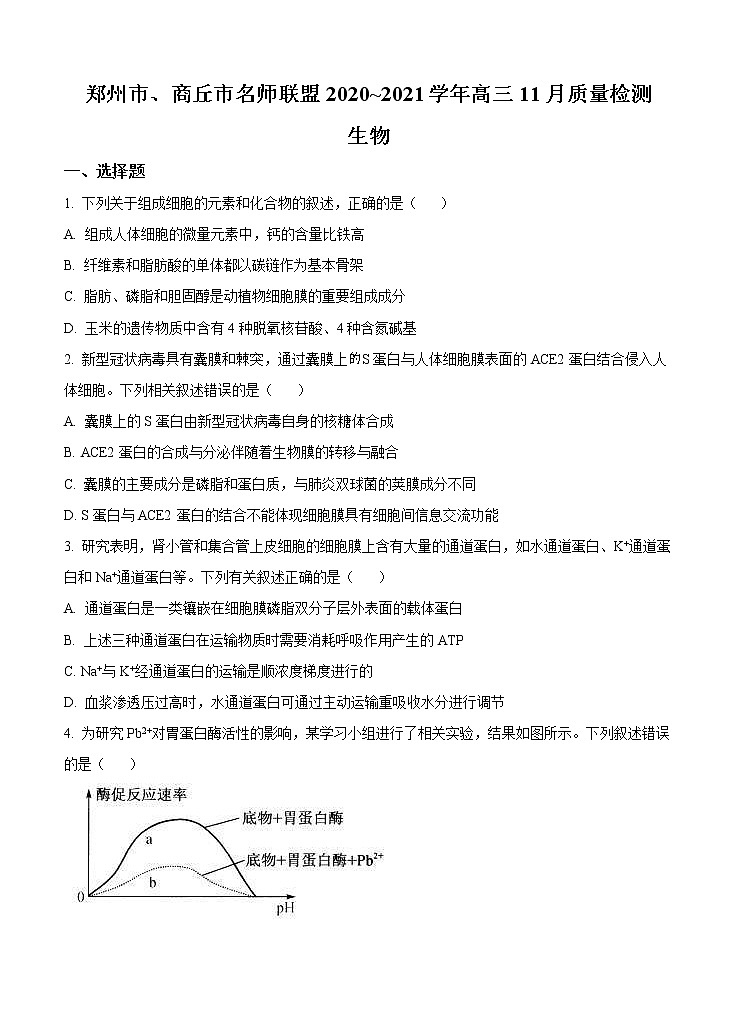 河南省郑州市、商丘市名师联盟2021届高三11月教学质量检测 生物(含答案)01