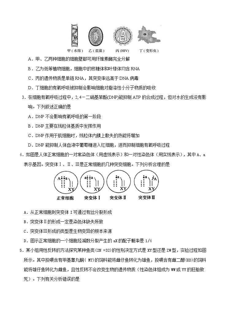 江苏省徐州一中、兴化中学2021届高三两校联合第二次适应性考试 生物(含答案)02