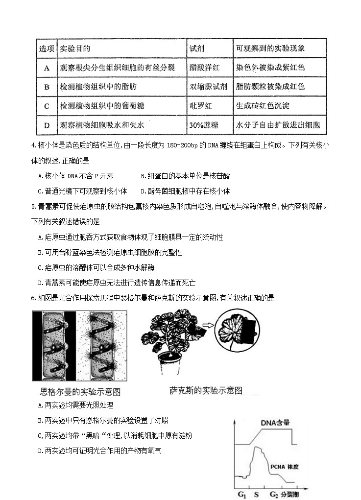 广东省广州市华南师大附中2021届高三上学期综合测试（二）生物(含答案)02