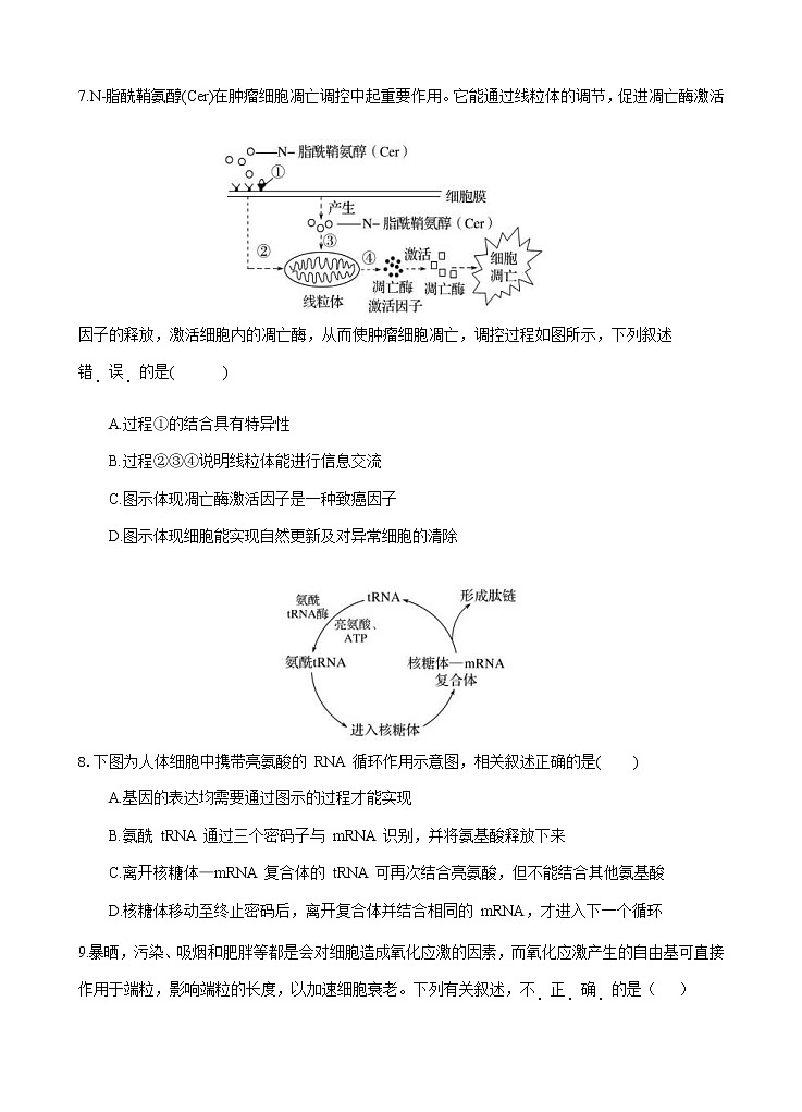 湖北省华中师范大学第一附属中学2021届高三上学期期中检测 生物 (含答案)03