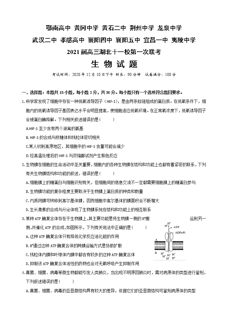 湖北省十一校2021届高三上学期第一次联考（12月）生物 (含答案) 试卷01