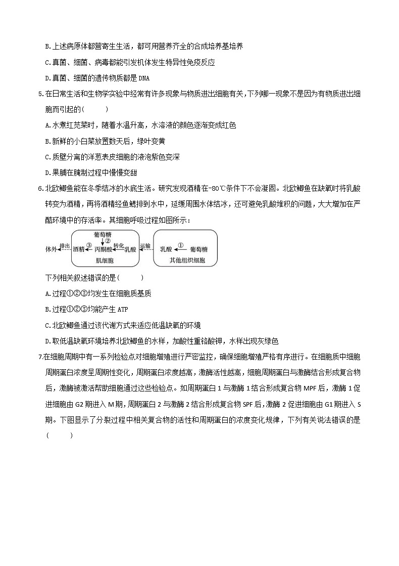 湖北省十一校2021届高三上学期第一次联考（12月）生物 (含答案) 试卷02