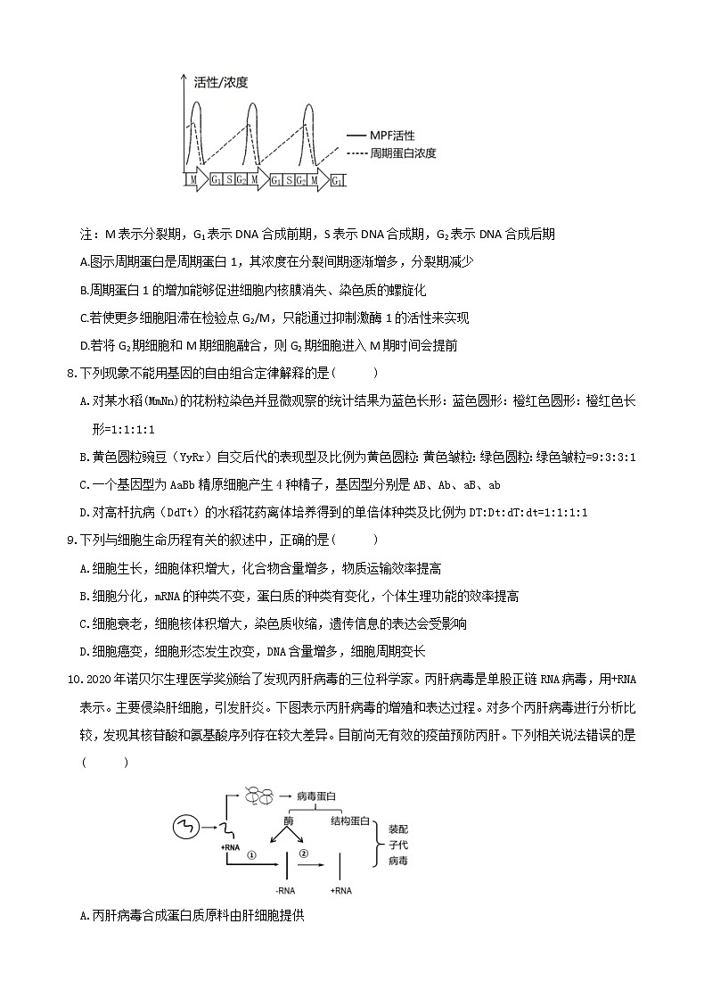 湖北省十一校2021届高三上学期第一次联考（12月）生物 (含答案) 试卷03