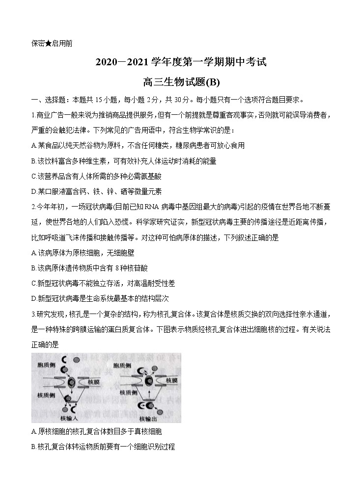 山东省菏泽市2021届高三上学期期中考试 生物 (含答案)01