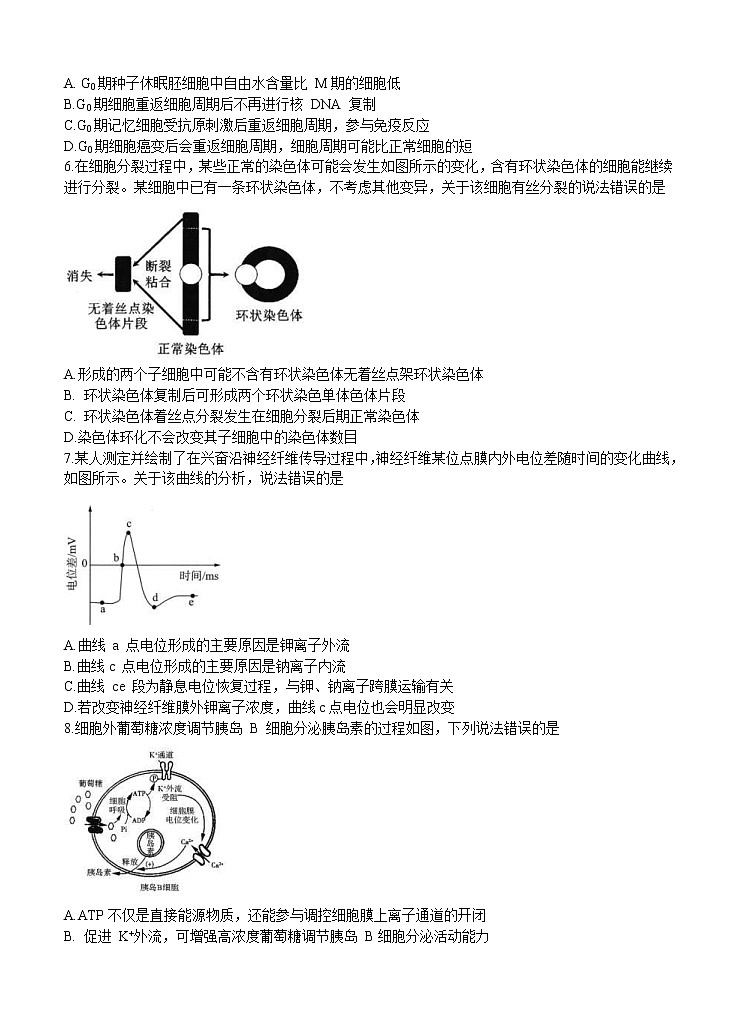 湖北省华大新高考联盟2021届高三11月教学质量测评（新高考）生物 (含答案)第2页