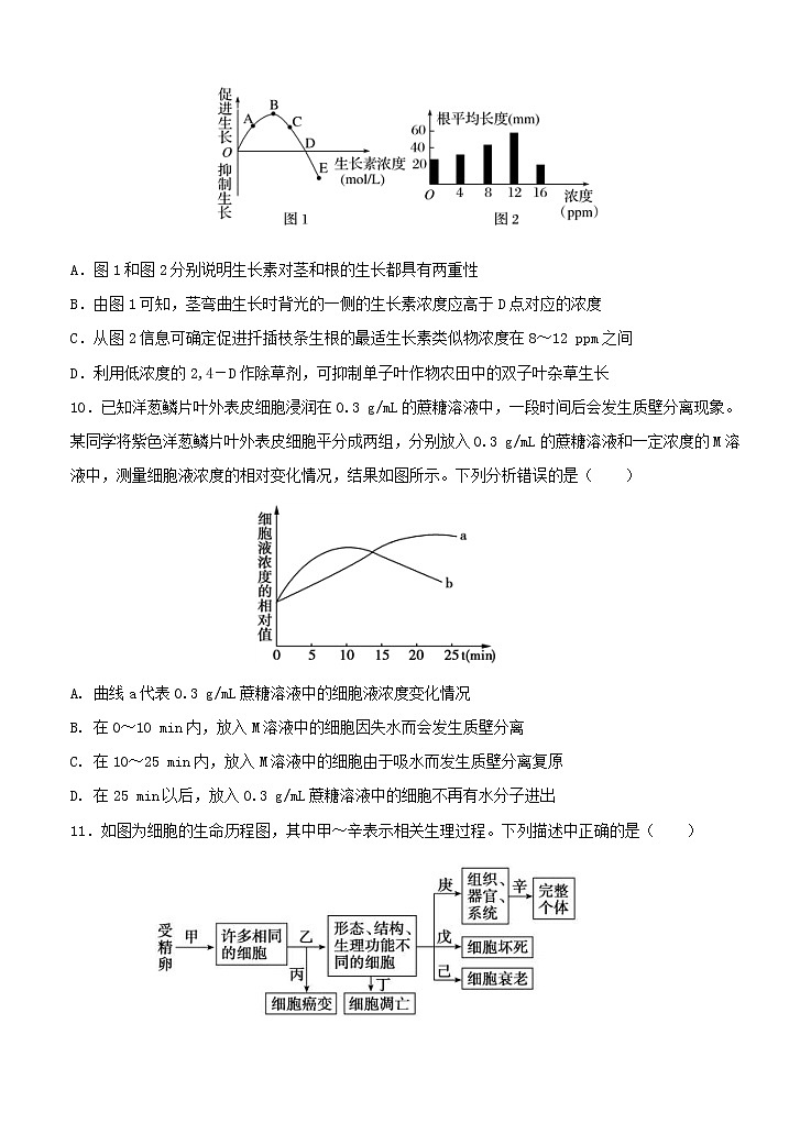 黑龙江省鹤岗市第一中学2021届高三上学期第三次模拟（12月）生物 (含答案) 试卷03