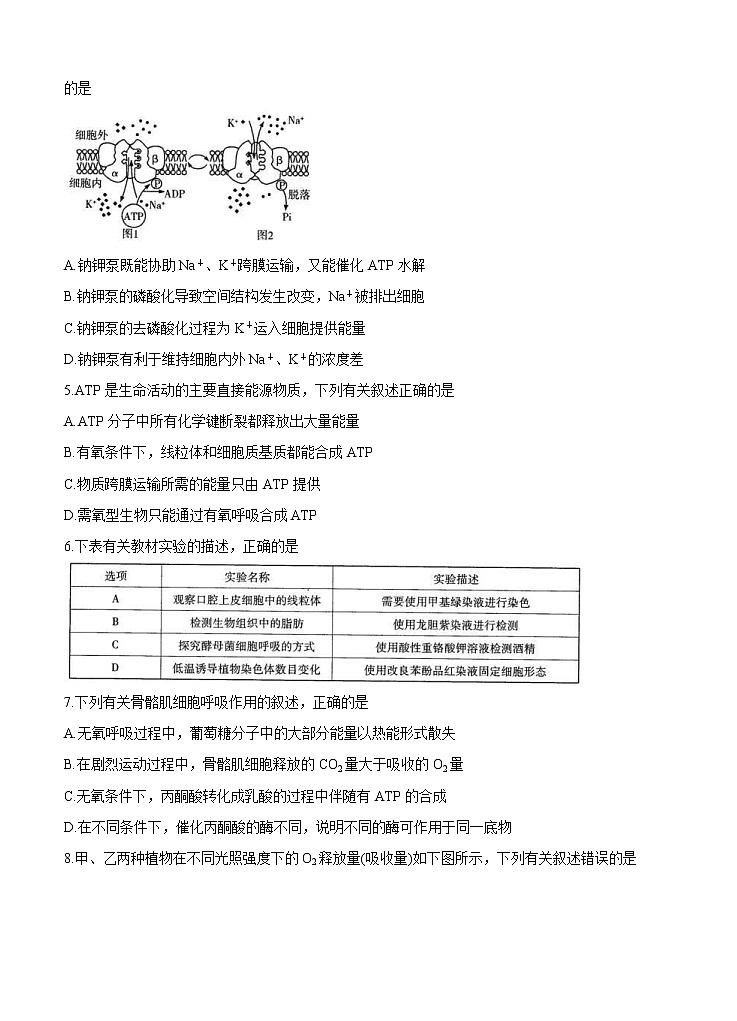 河南省天一大联考2021届高三上学期阶段性测试（三）生物 (含答案)02