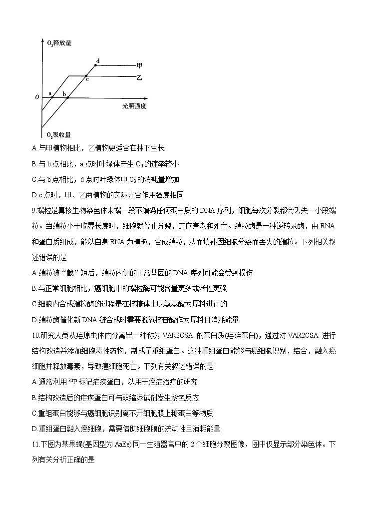 河南省天一大联考2021届高三上学期阶段性测试（三）生物 (含答案)03