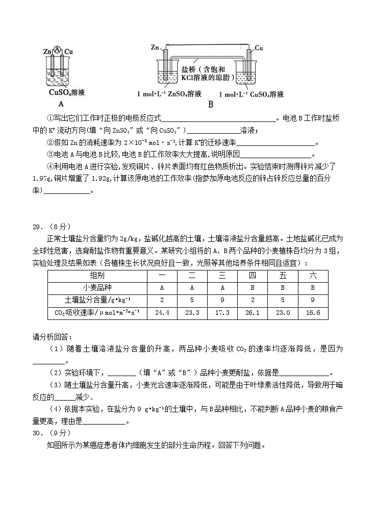 宁夏大学附属中学2021届高三上学期第三次月考试 生物 (含答案)03