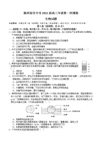 陕西省汉中市2021届高三上学期第一次模拟 生物 (含答案)