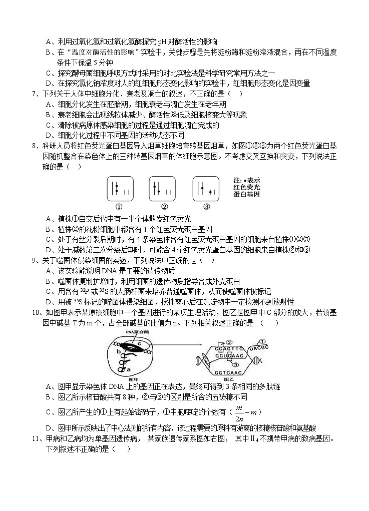 陕西省汉中市2021届高三上学期第一次模拟 生物 (含答案) 试卷02
