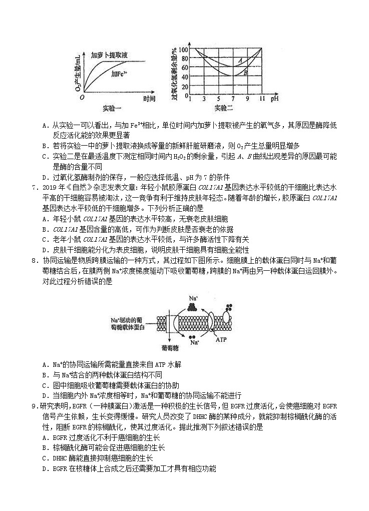 河北省衡水中学2021届高三上学期二调考试 生物 (含答案)02