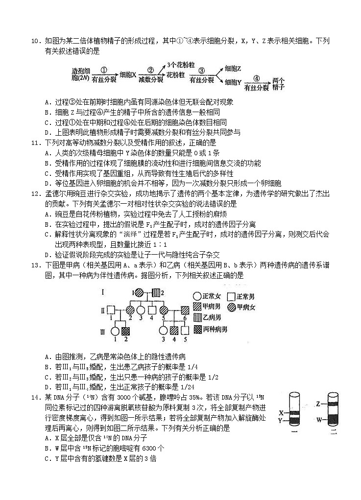 河北省衡水中学2021届高三上学期二调考试 生物 (含答案)03