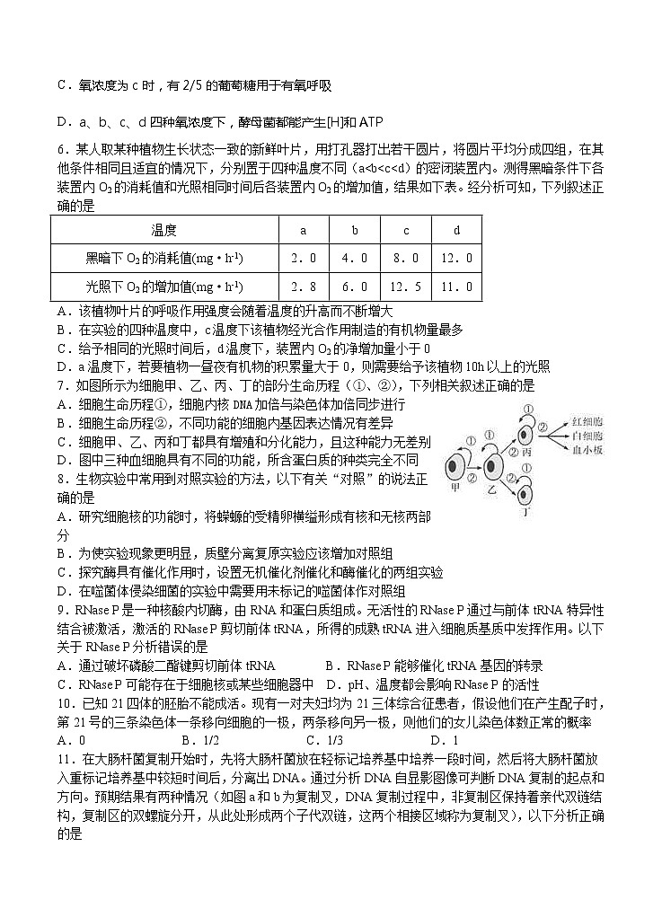 江苏省扬州中学2021届高三上学期12月月考试题 生物 (含答案)02