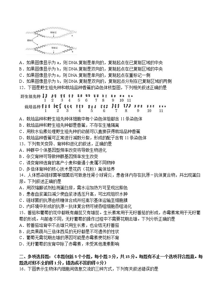 江苏省扬州中学2021届高三上学期12月月考试题 生物 (含答案)03