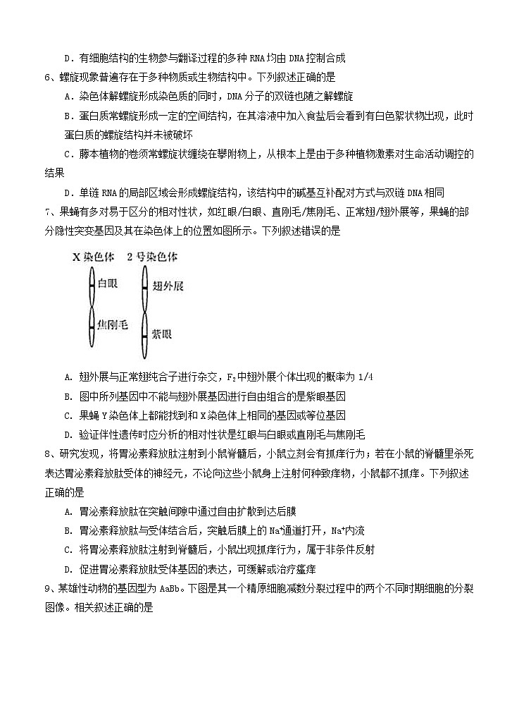 黑龙江省大庆铁人、鸡西一中、鹤岗一中三校2021届高三上学期联考 生物 (含答案) 试卷02