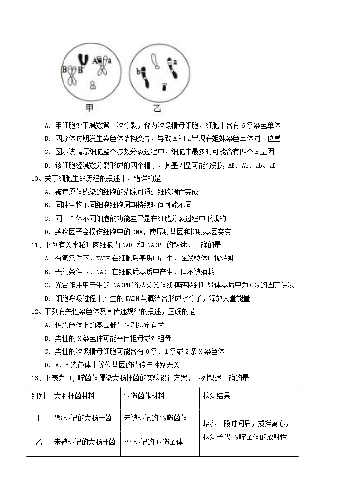 黑龙江省大庆铁人、鸡西一中、鹤岗一中三校2021届高三上学期联考 生物 (含答案) 试卷03