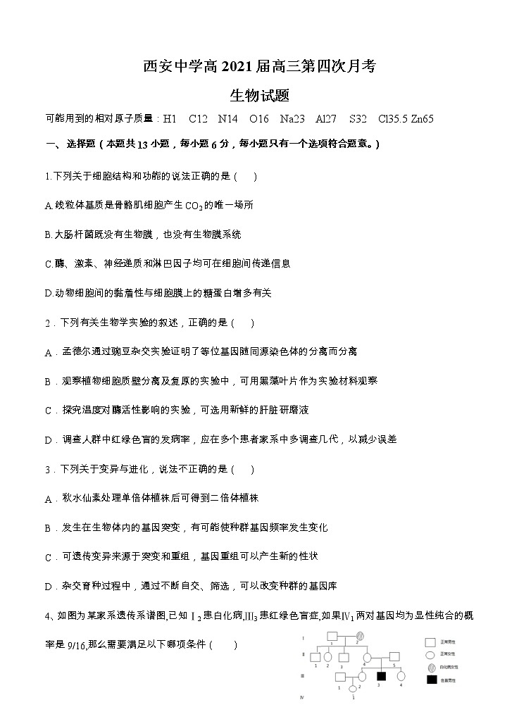陕西省西安中学2021届高三上学期第四次月考 生物 (含答案) 试卷01