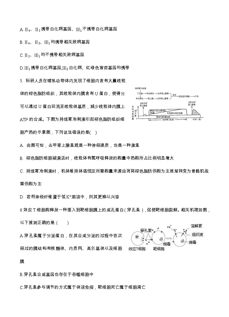 陕西省西安中学2021届高三上学期第四次月考 生物 (含答案) 试卷02