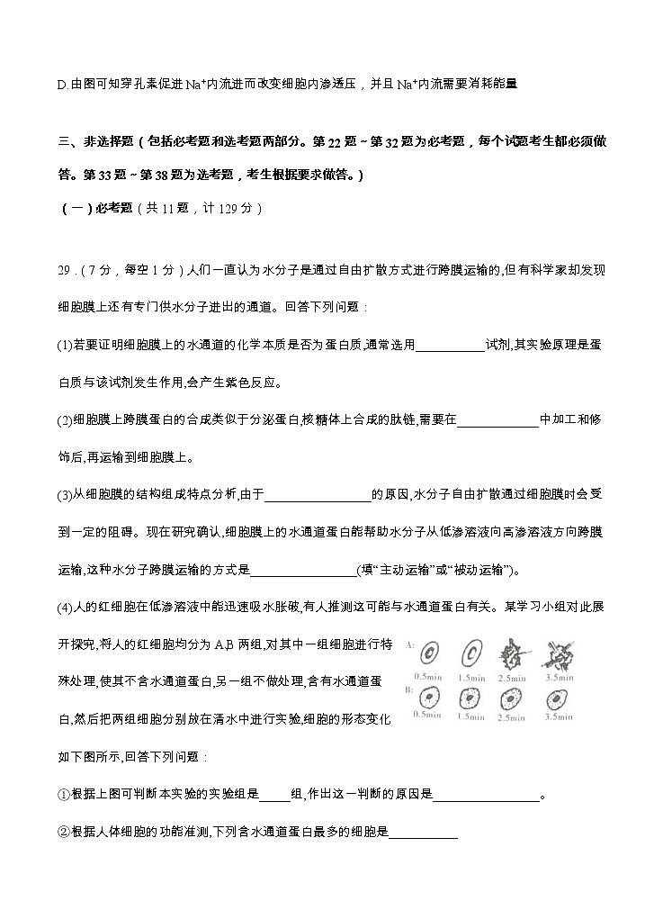 陕西省西安中学2021届高三上学期第四次月考 生物 (含答案) 试卷03