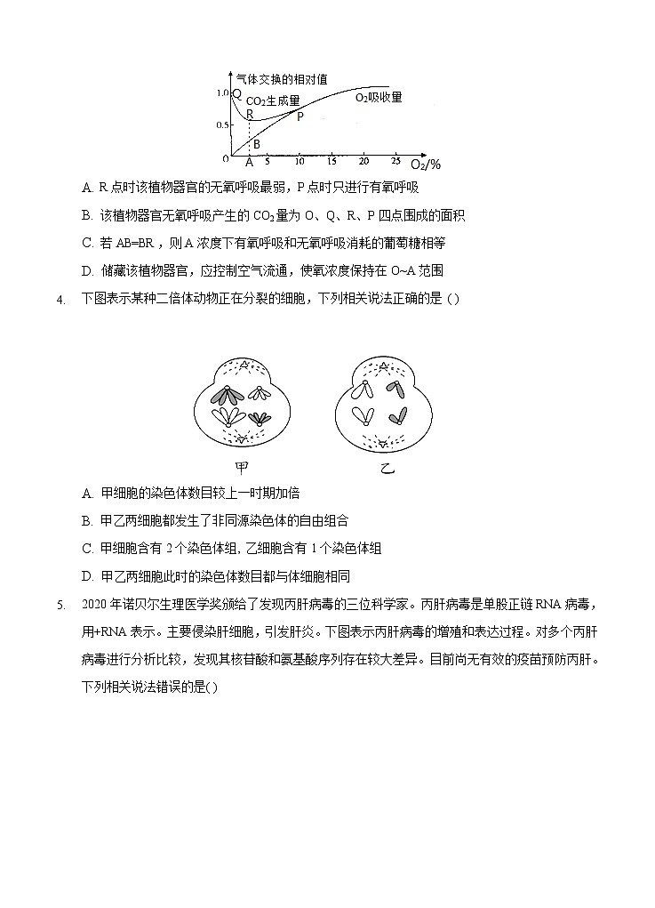 重庆市主城区2021届高三上学期高考适应性试卷（一）生物(含答案)02