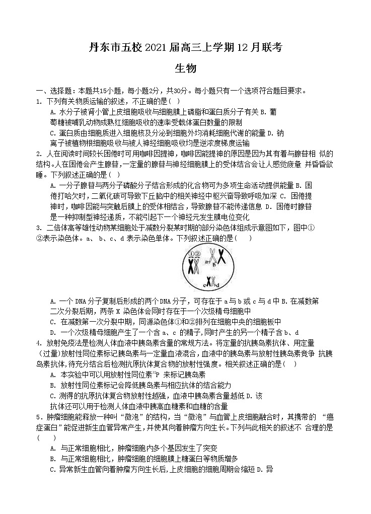辽宁省丹东市五校2021届高三上学期12月联考 生物(含答案)第1页