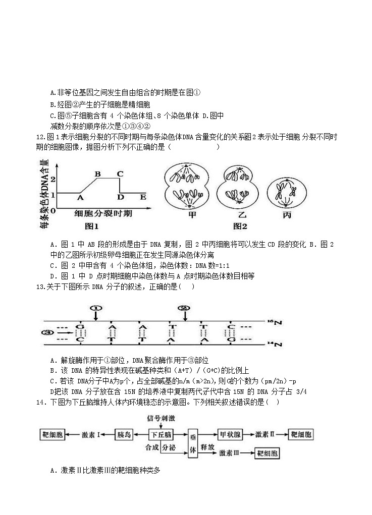 辽宁省丹东市五校2021届高三上学期12月联考 生物(含答案)第3页