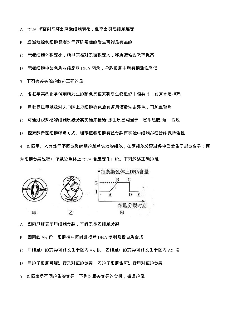 百校联盟2021届高三12月普通高中教育教学质量监测 生物（新高考卷）(含答案)第2页