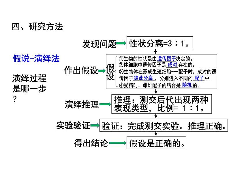 人教版高中生物必修二：孟德尔豌豆杂交实验一课件07