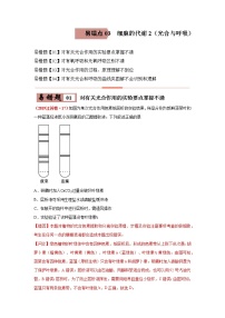 备战2021年高考生物一轮复习 易错点03 细胞的代谢2（光合与呼吸）