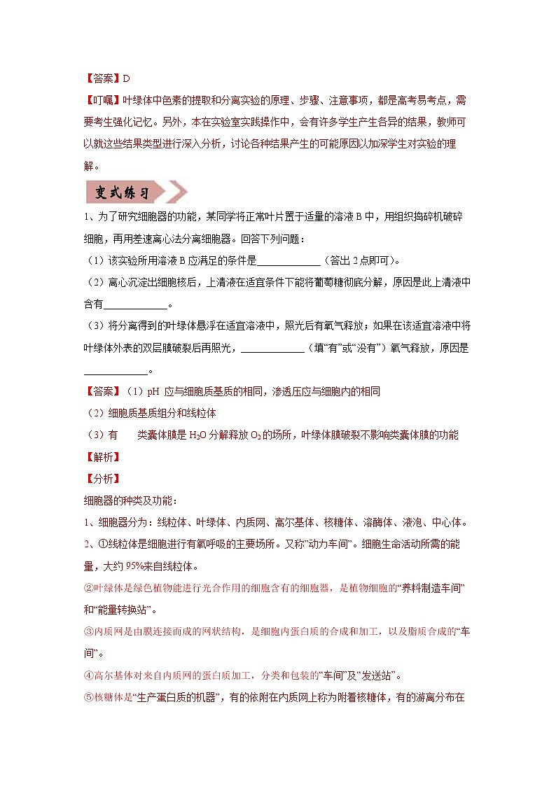 备战2021年高考生物一轮复习 易错点03 细胞的代谢2（光合与呼吸） 试卷02