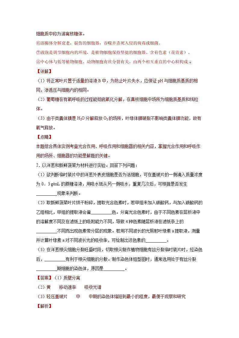 备战2021年高考生物一轮复习 易错点03 细胞的代谢2（光合与呼吸） 试卷03