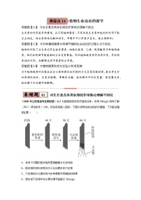 备战2021年高考生物一轮复习 易错点14 植物生命活动的调节