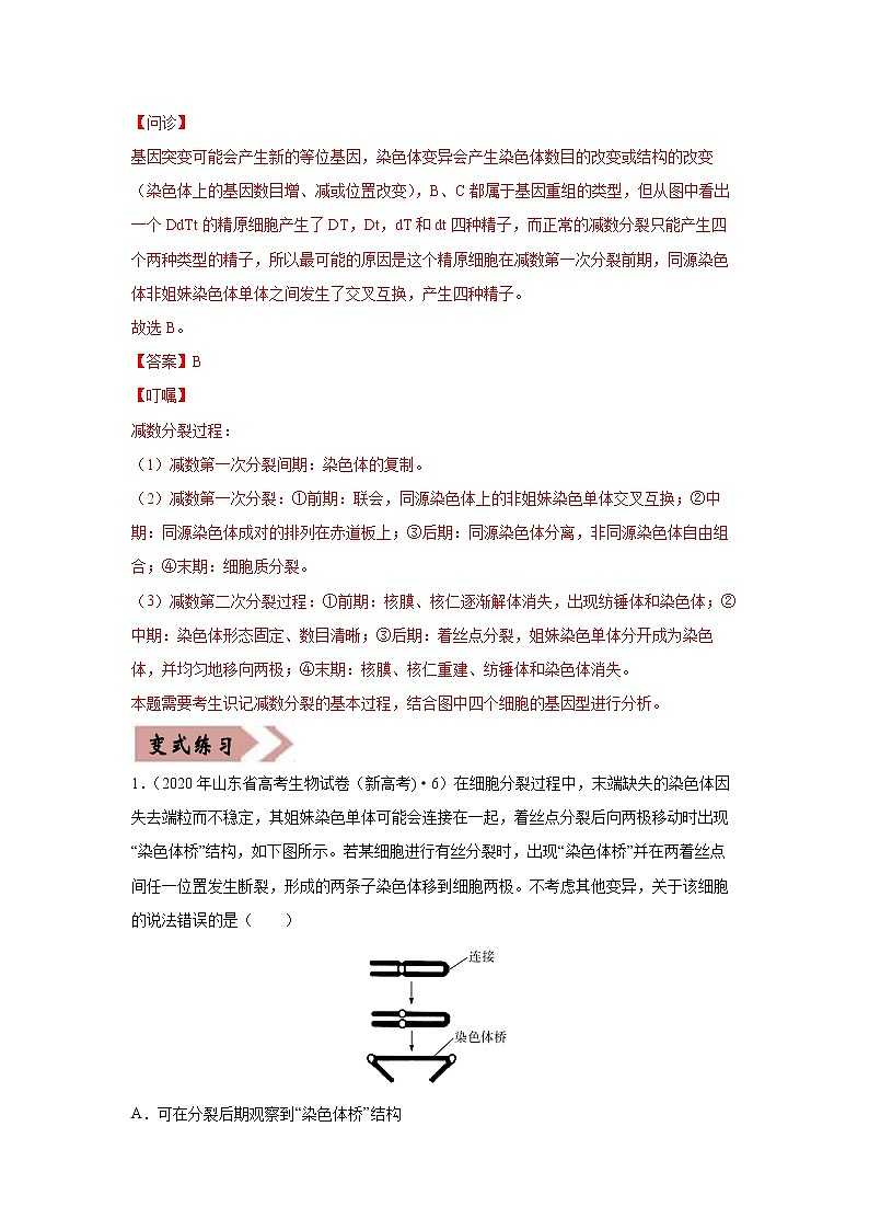 备战2021年高考生物一轮复习 易错点08 生物的变异和育种 试卷02