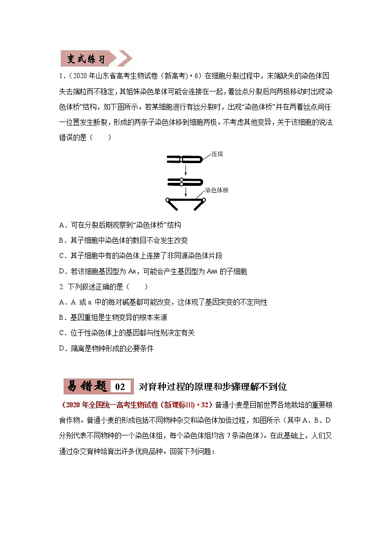 备战2021年高考生物一轮复习 易错点08 生物的变异和育种 试卷02