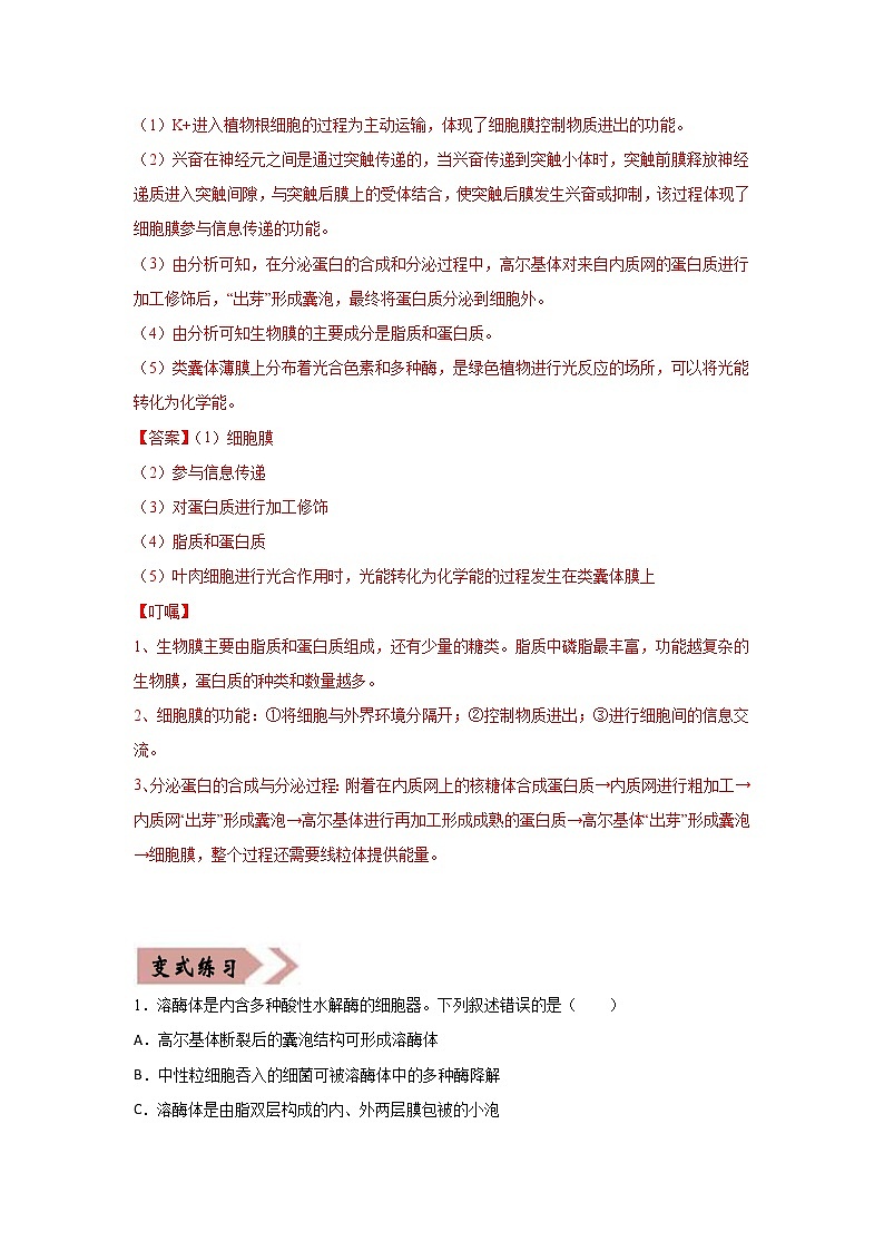 备战2021年高考生物一轮复习 易错点02 细胞的结构和功能 试卷03