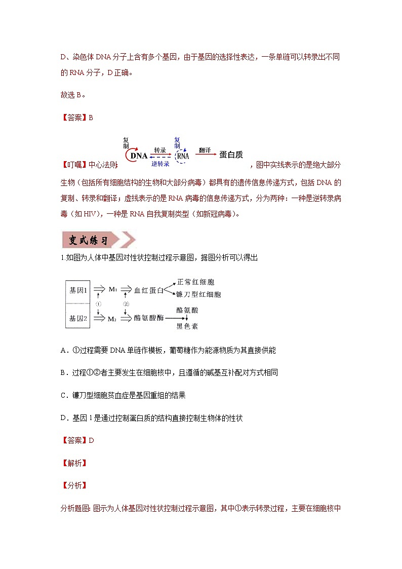 备战2021年高考生物一轮复习 易错点06 遗传的分子基础 试卷02
