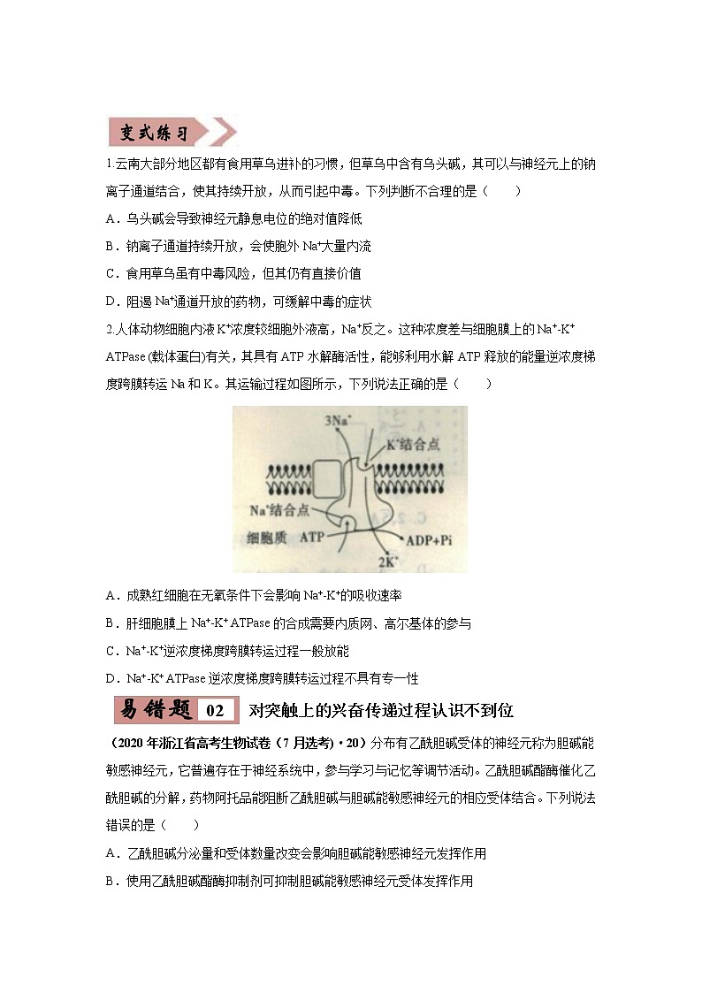备战2021年高考生物一轮复习 易错点11 神经调节 试卷02