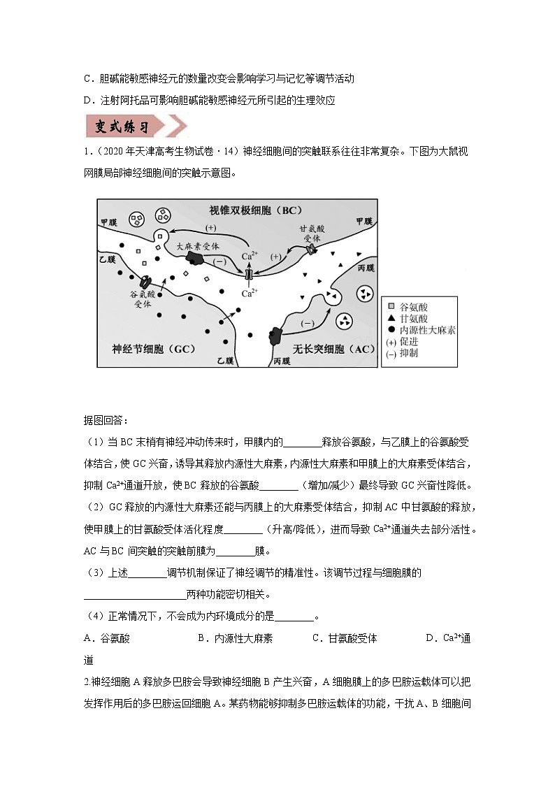 备战2021年高考生物一轮复习 易错点11 神经调节 试卷03
