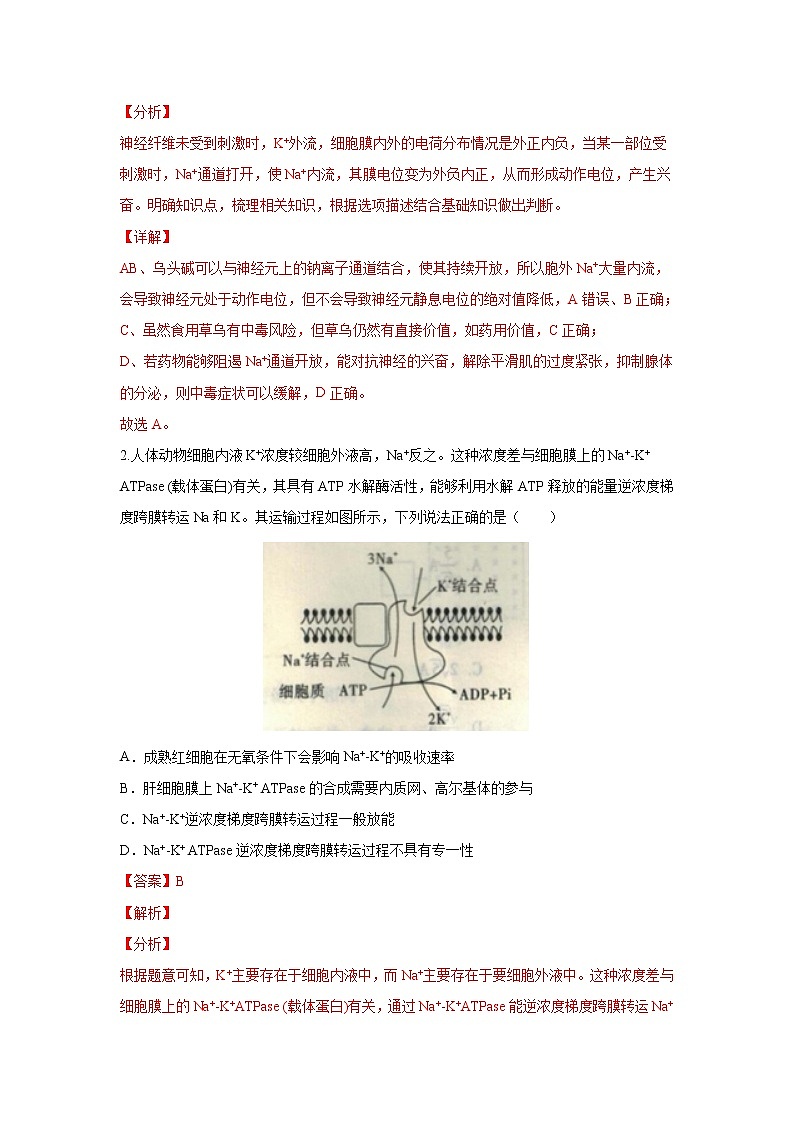 备战2021年高考生物一轮复习 易错点11 神经调节 试卷03