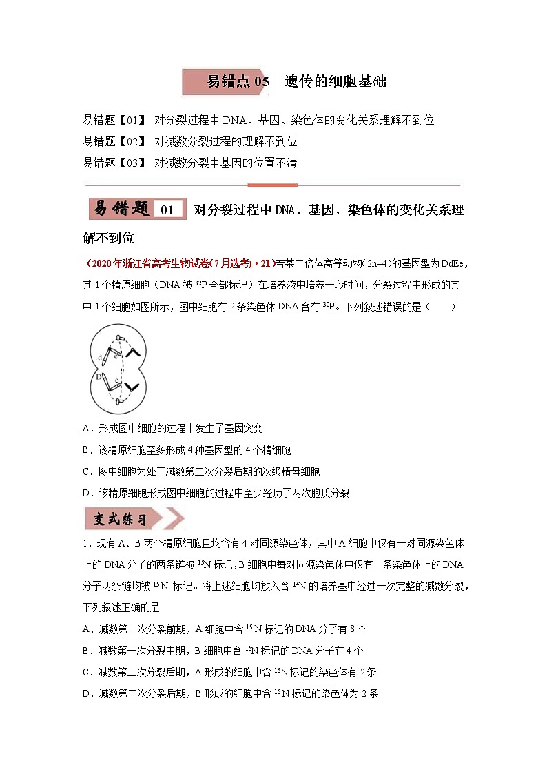 备战2021年高考生物一轮复习 易错点05 遗传的细胞基础 试卷01