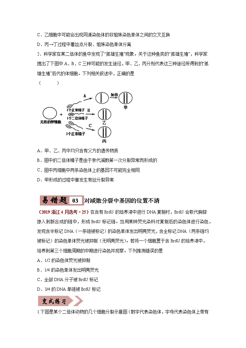 备战2021年高考生物一轮复习 易错点05 遗传的细胞基础 试卷03
