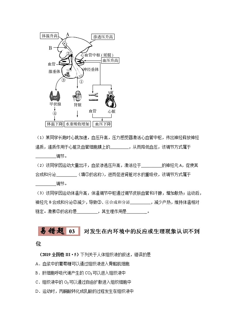 备战2021年高考生物一轮复习 易错点10 细胞生活的环境和稳态 试卷03