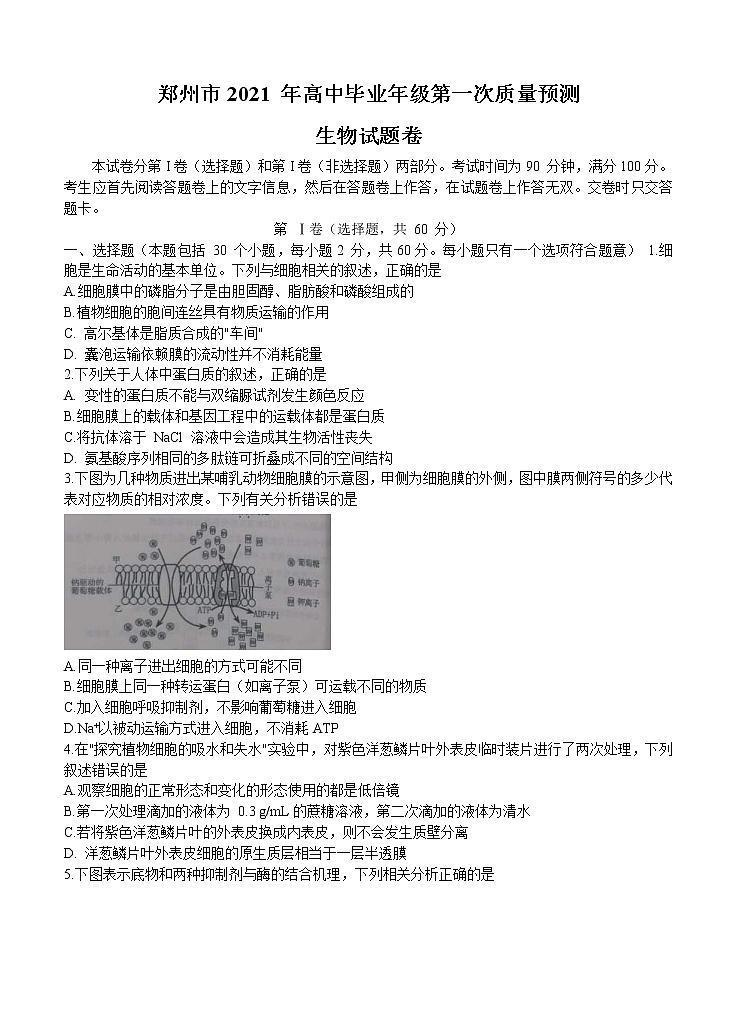 河南省郑州市2021届高三上学期第一次质量预测（1月）生物 (含答案)01