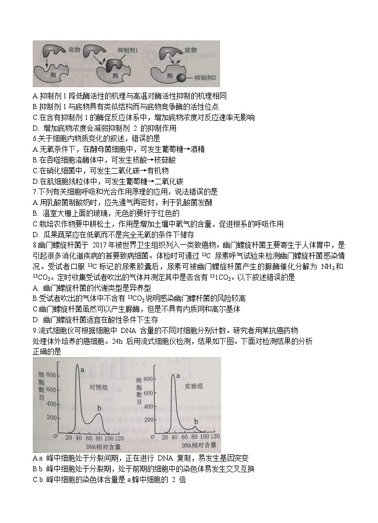 河南省郑州市2021届高三上学期第一次质量预测（1月）生物 (含答案)02