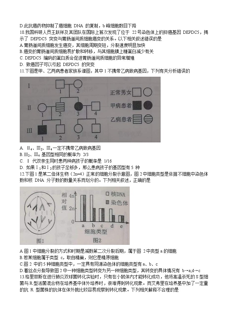 河南省郑州市2021届高三上学期第一次质量预测（1月）生物 (含答案)03