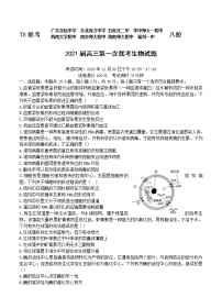 全国新课改省区T8联考2021届高三上学期12月第一次联考 生物 (含答案)