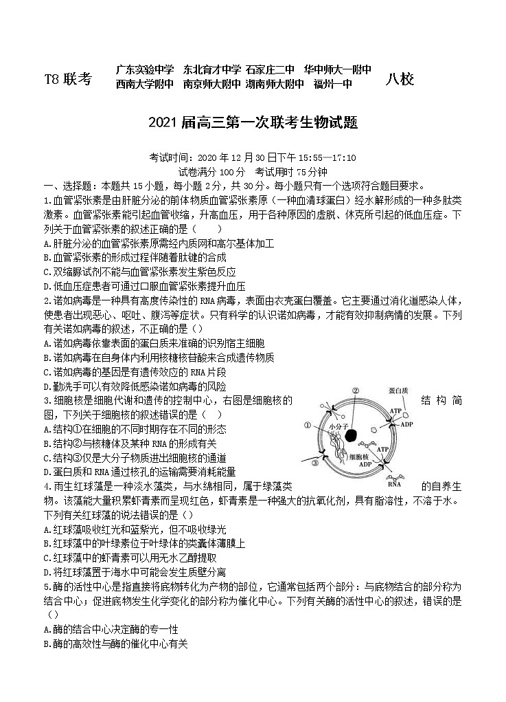 全国新课改省区T8联考2021届高三上学期12月第一次联考 生物 (含答案) 试卷01