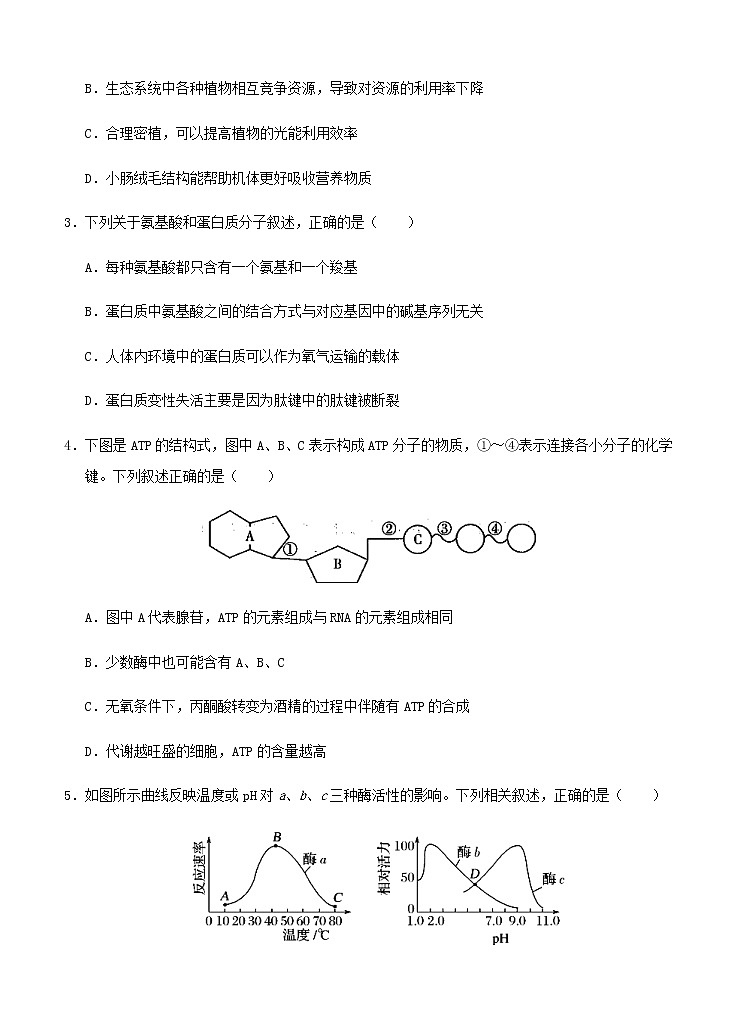 重庆市梁平区2021届高三上学期第一次调研考试 生物 (含答案)02